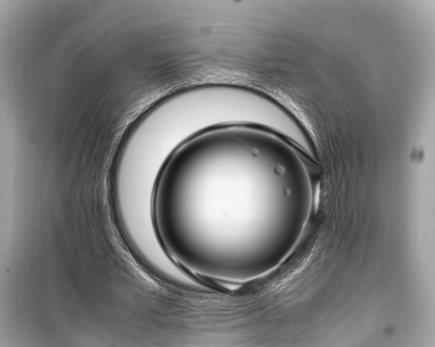 X0000099430581200805161112