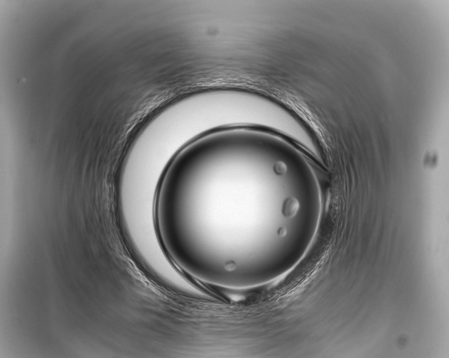 X0000099430585200805161112