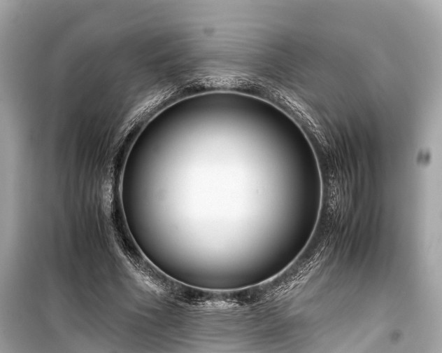 X0000099430586200805161112