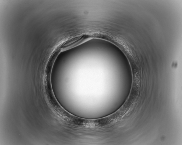 X0000099430587200805161112