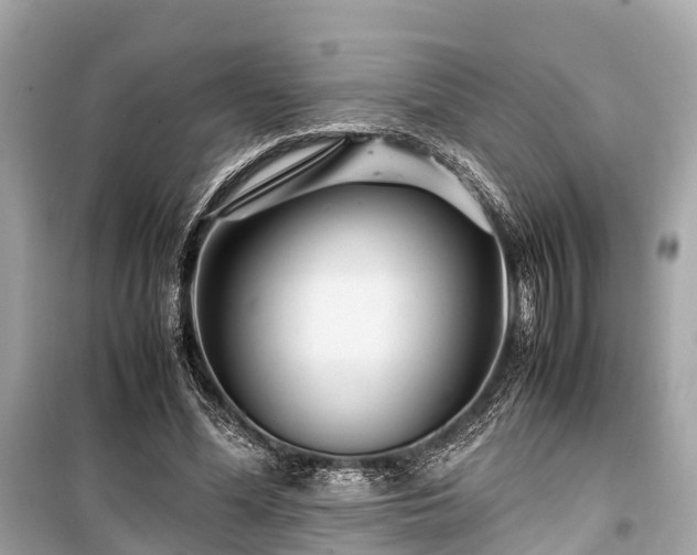 X0000099430588200805161112
