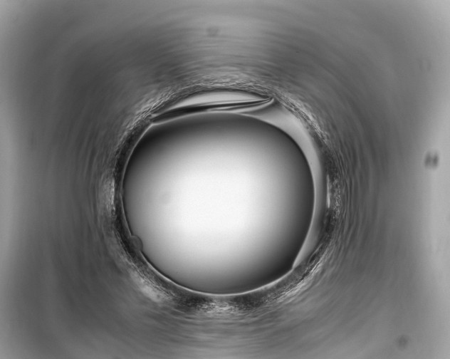 X0000099430589200805161112