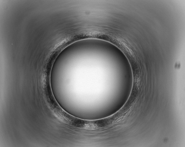 X0000099430591200805161112