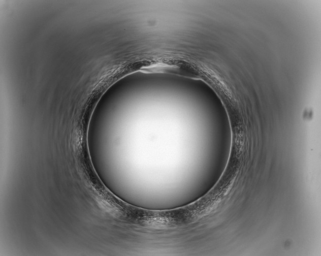 X0000099430593200805161112