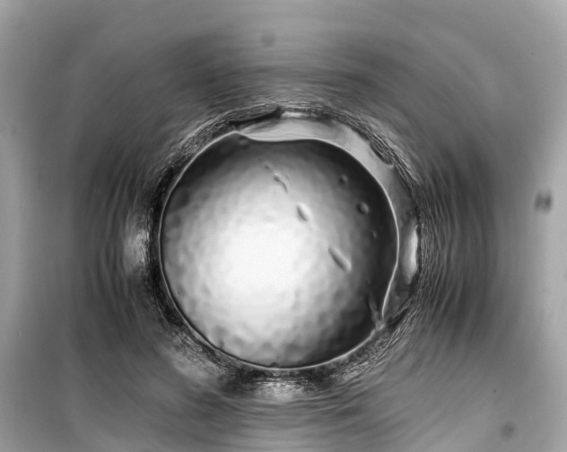 X0000099430596200805161112