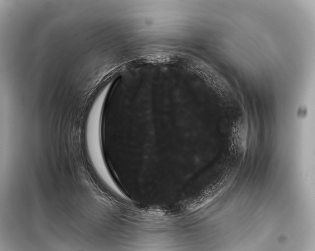 X0000099430600200805161112