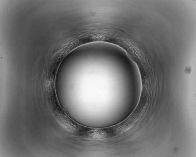 X0000099430601200805161112