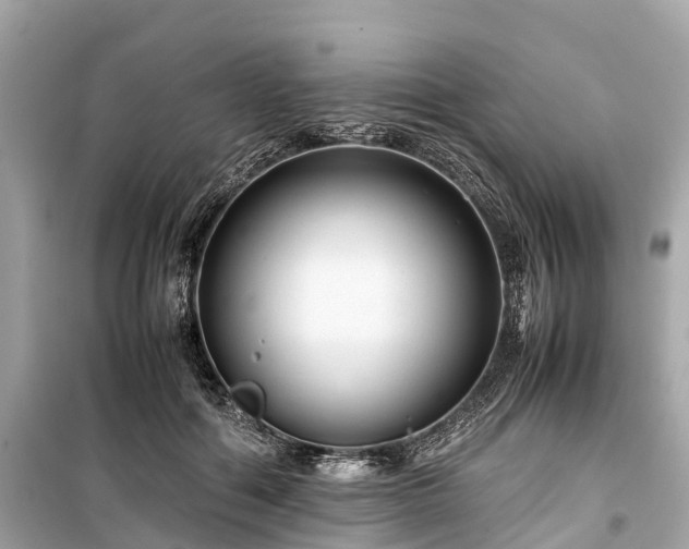 X0000099430602200805161112