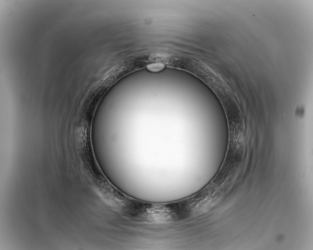X0000099430603200805161112