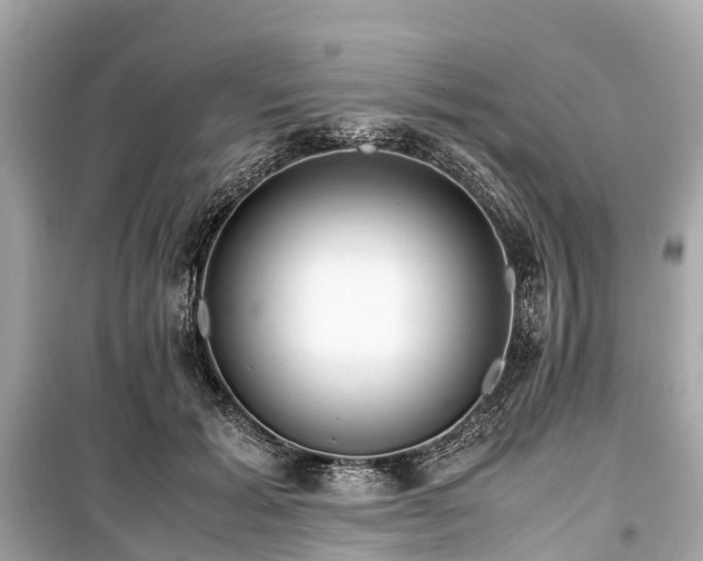 X0000099430605200805161112