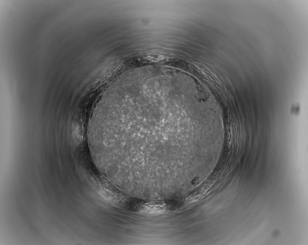 X0000099430606200805161112