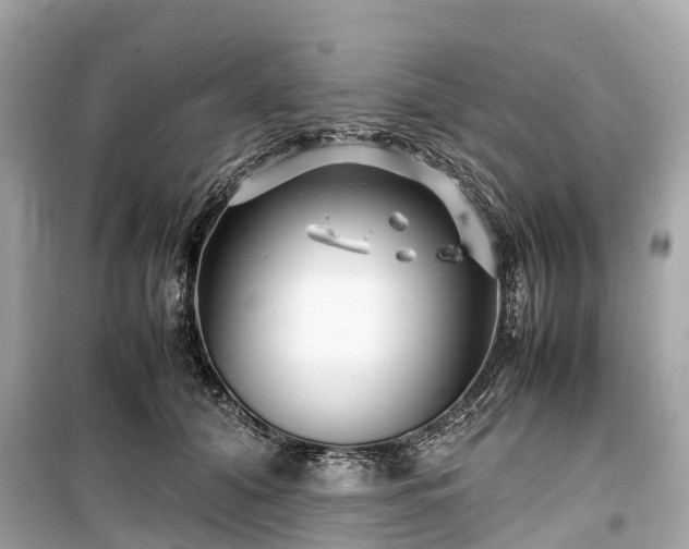 X0000099430608200805161112