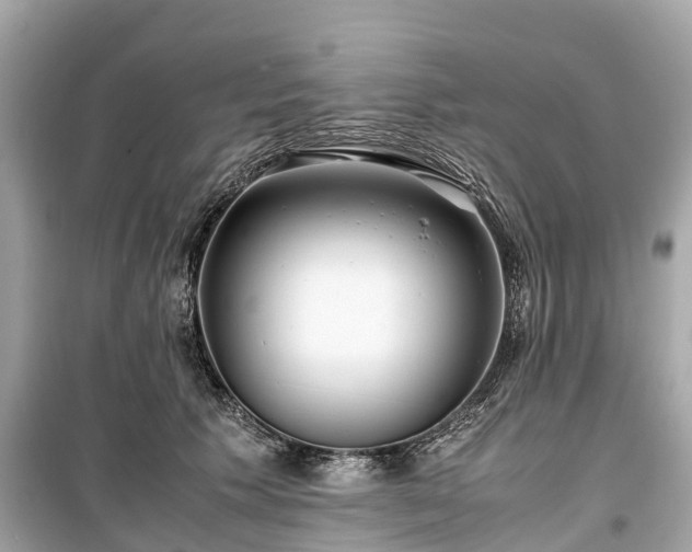 X0000099430609200805161112