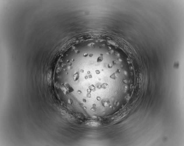 X0000099430610200805161112