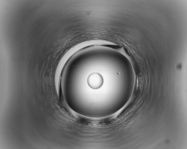 X0000099430613200805161112