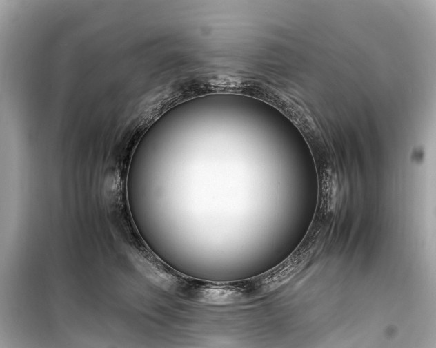 X0000099430614200805161112