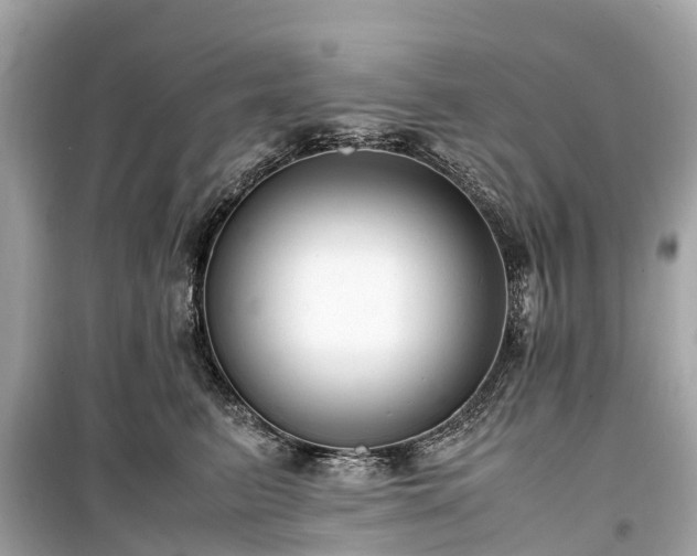 X0000099430615200805161112