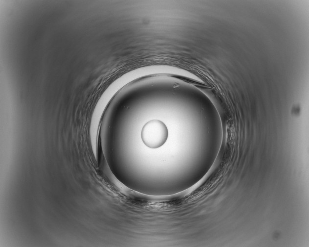 X0000099430617200805161112