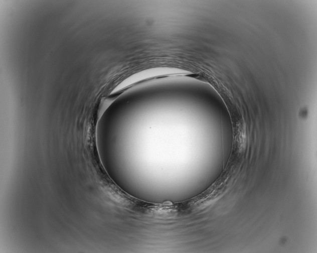 X0000099430619200805161112
