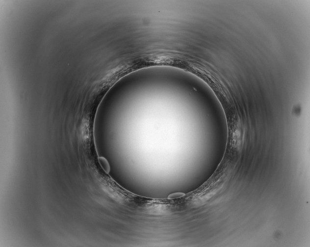 X0000099430620200805161112