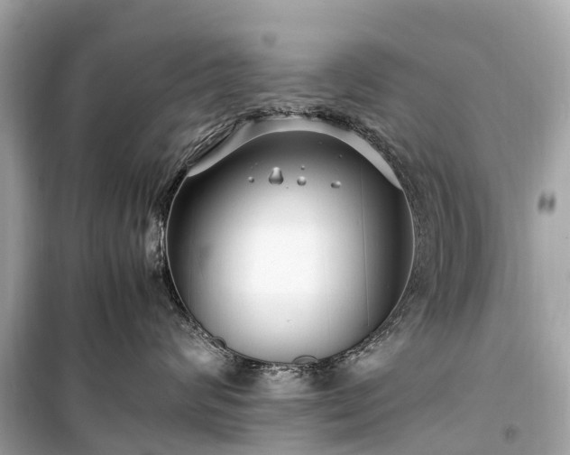 X0000099430624200805161111