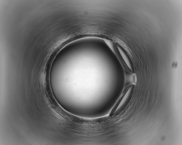 X0000099430627200805161111