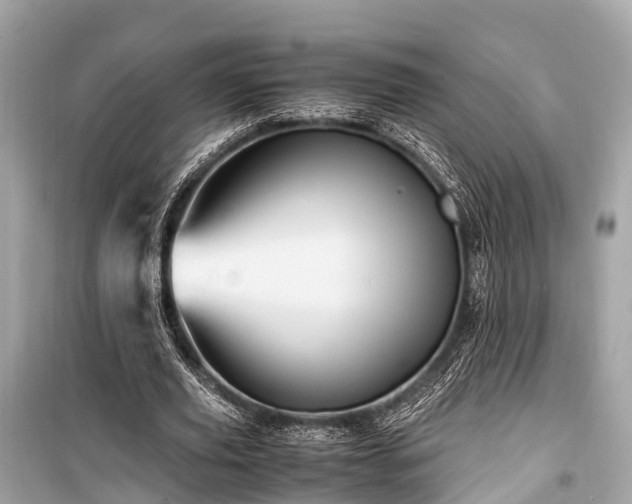 X0000099430629200805161111