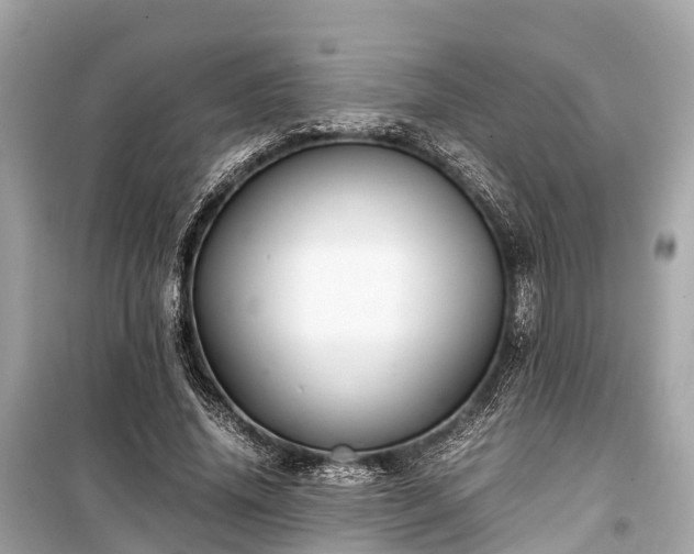 X0000099430636200805161111