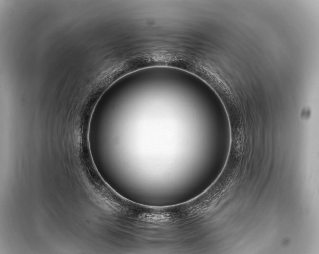 X0000099430639200805161111
