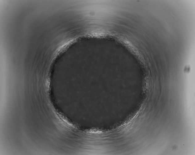 X0000099430640200805161111