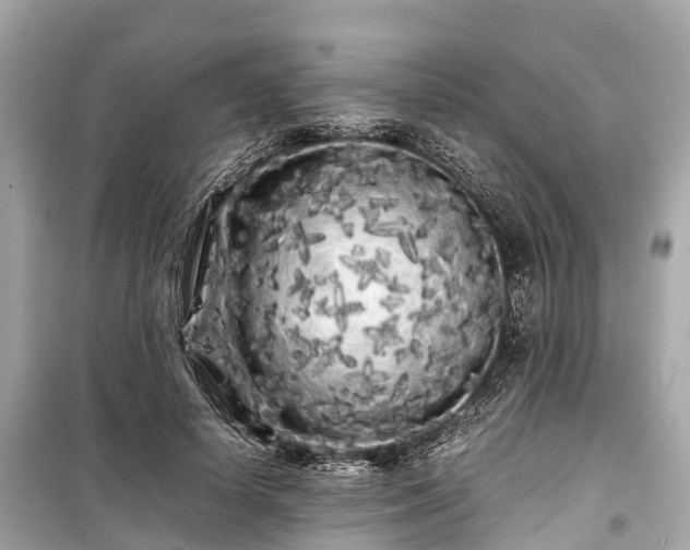 X0000099430642200805161111