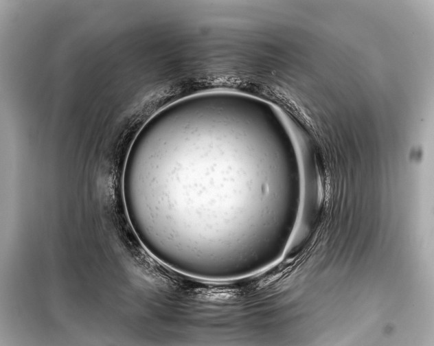 X0000099430643200805161111
