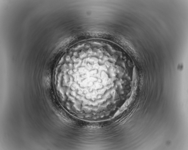 X0000099430644200805161111