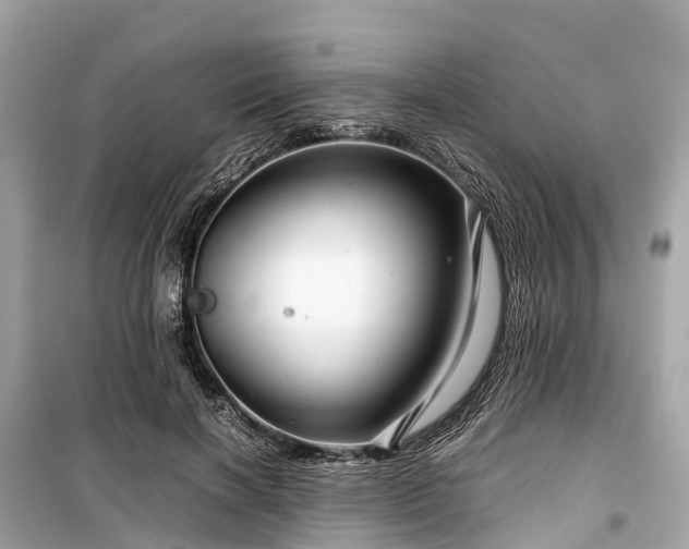 X0000099430646200805161111