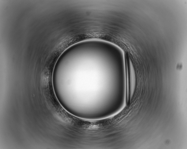 X0000099430647200805161111