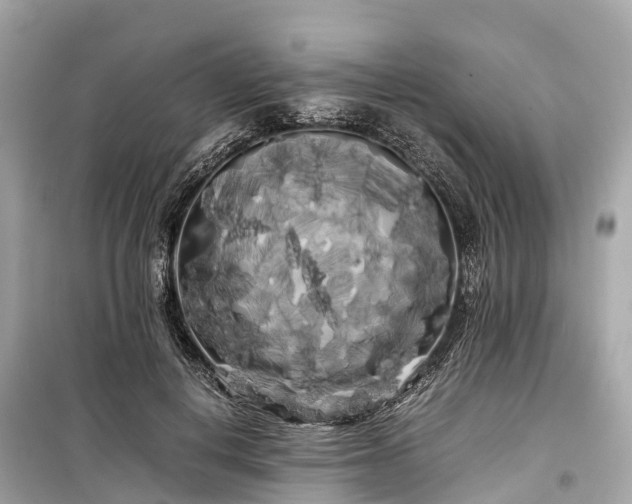 X0000099430648200805161111