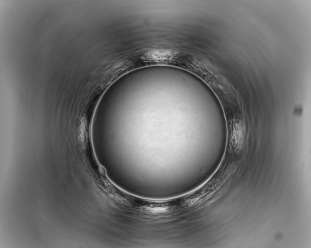 X0000099430651200805161111