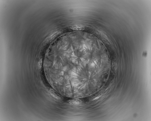 X0000099430652200805161111