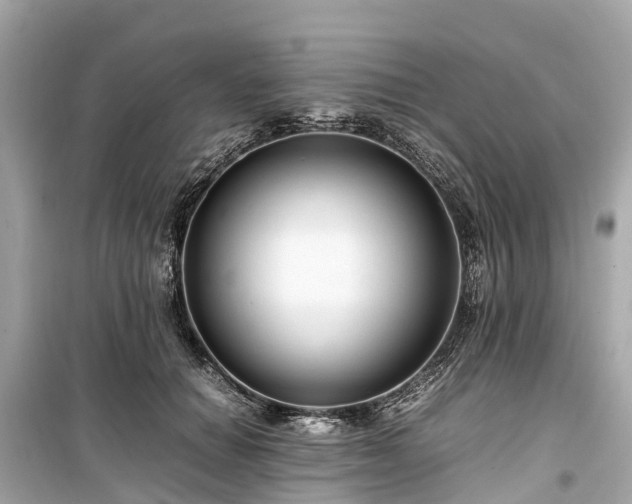 X0000099430654200805161111