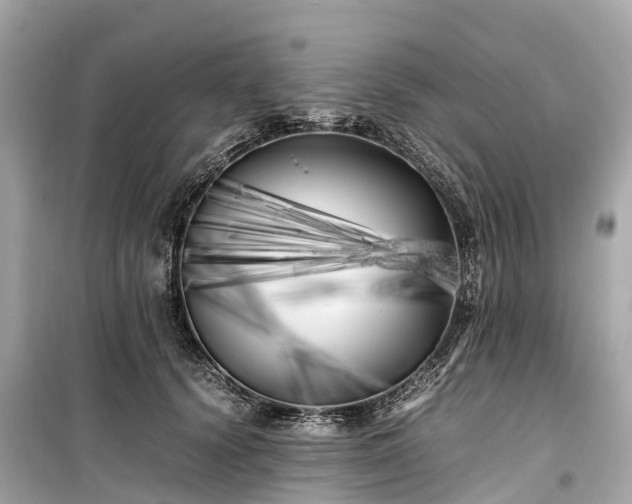 X0000099430656200805161111