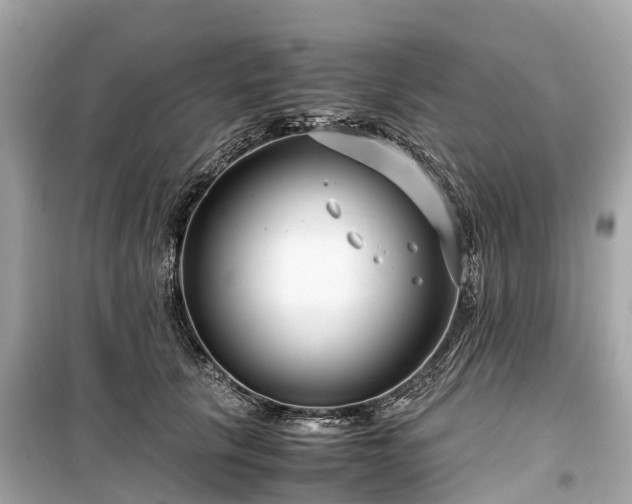 X0000099430657200805161111