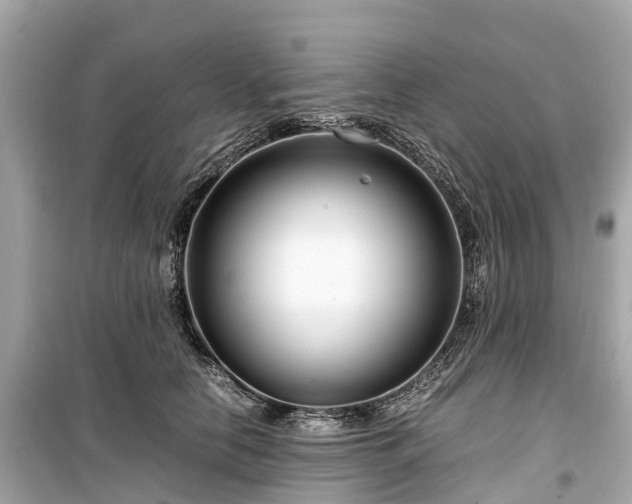 X0000099430658200805161111