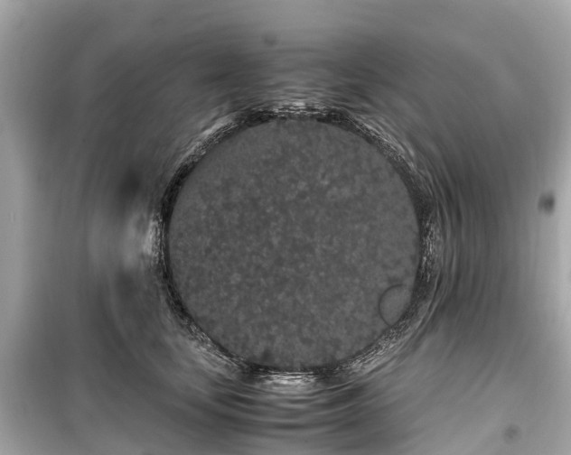 X0000099430659200805161111