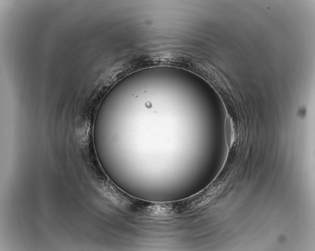 X0000099430660200805161111