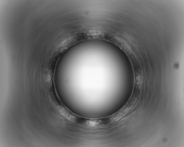 X0000099430662200805161111