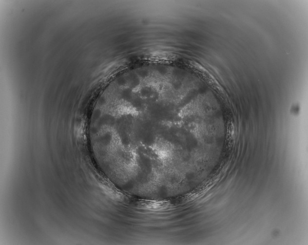 X0000099430663200805161111