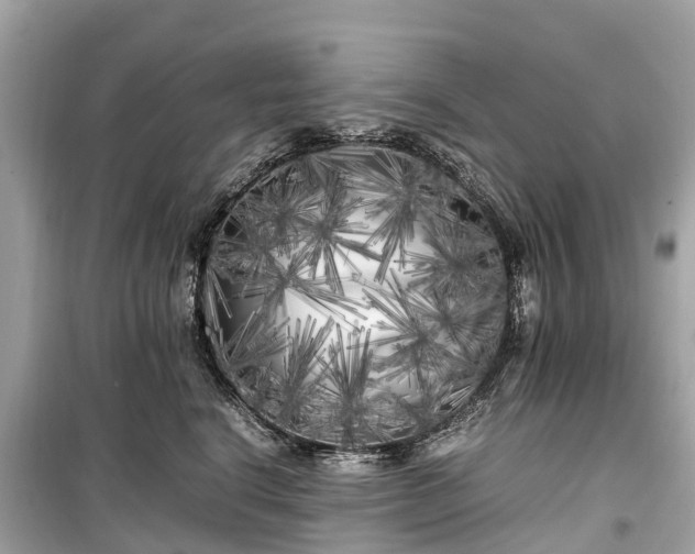 X0000099430664200805161111