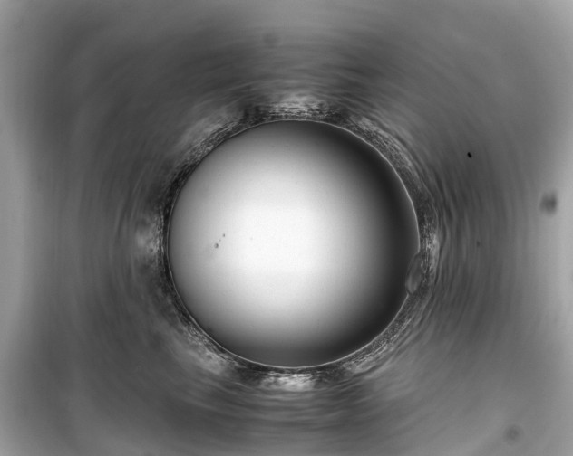 X0000099430665200805161111