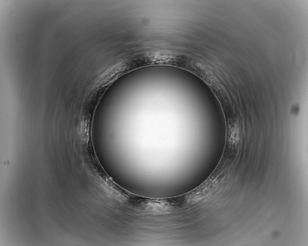 X0000099430666200805161111