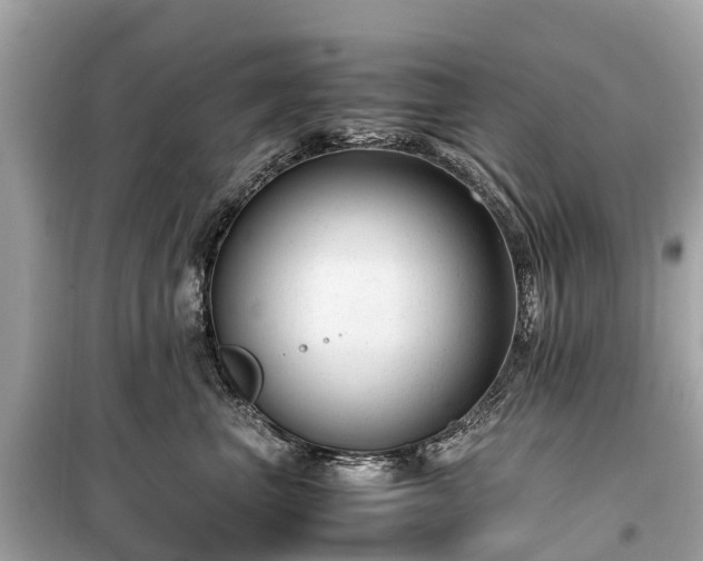 X0000099430667200805161111